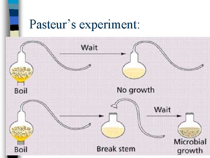 Pasteur’s experiment: 