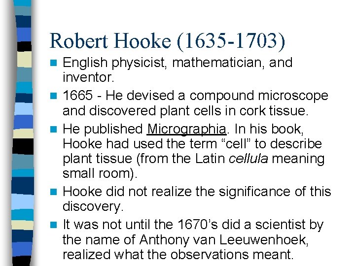 Robert Hooke (1635 -1703) n n n English physicist, mathematician, and inventor. 1665 -