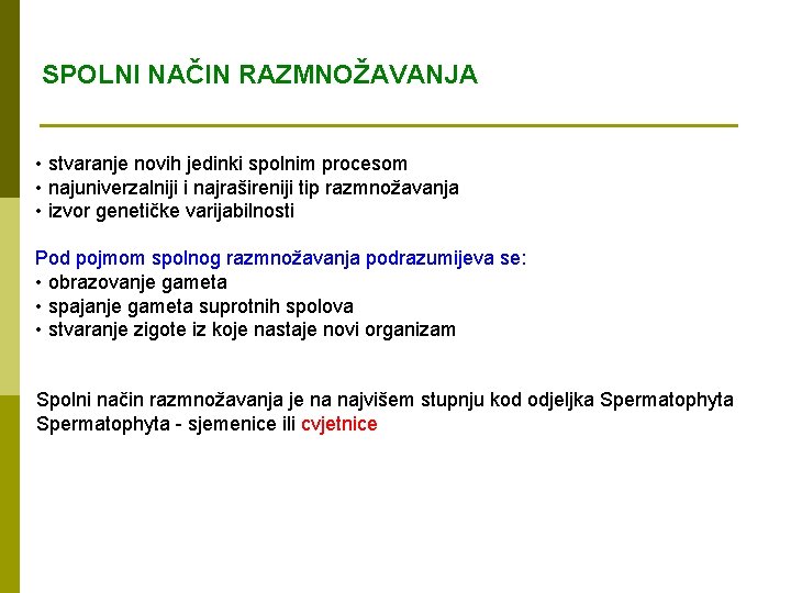 SPOLNI NAČIN RAZMNOŽAVANJA • stvaranje novih jedinki spolnim procesom • najuniverzalniji i najrašireniji tip