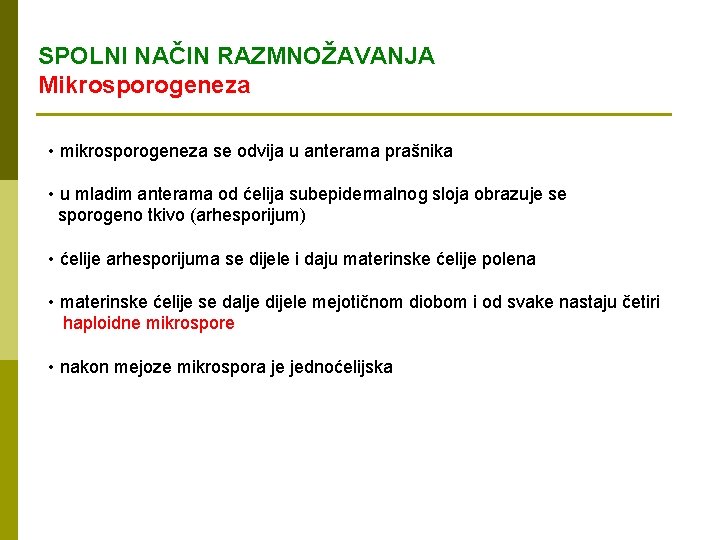 SPOLNI NAČIN RAZMNOŽAVANJA Mikrosporogeneza • mikrosporogeneza se odvija u anterama prašnika • u mladim