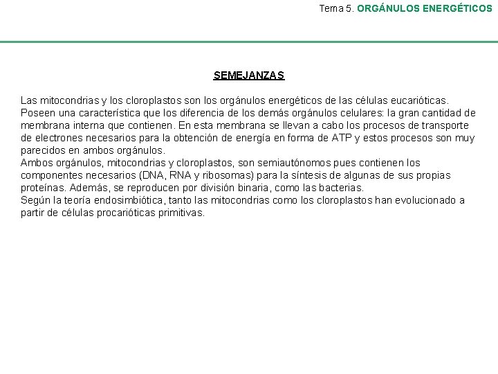 Tema 5. ORGÁNULOS ENERGÉTICOS SEMEJANZAS Las mitocondrias y los cloroplastos son los orgánulos energéticos