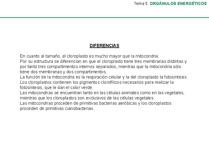 Tema 5. ORGÁNULOS ENERGÉTICOS DIFERENCIAS En cuanto al tamaño, el cloroplasto es mucho mayor