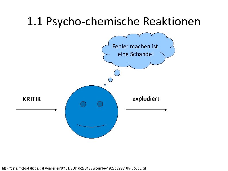 1. 1 Psycho-chemische Reaktionen Fehler machen ist eine Schande! KRITIK explodiert http: //data. motor-talk.