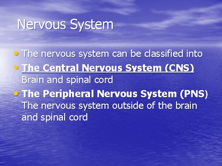  Nervous System • The nervous system can be classified into • The Central