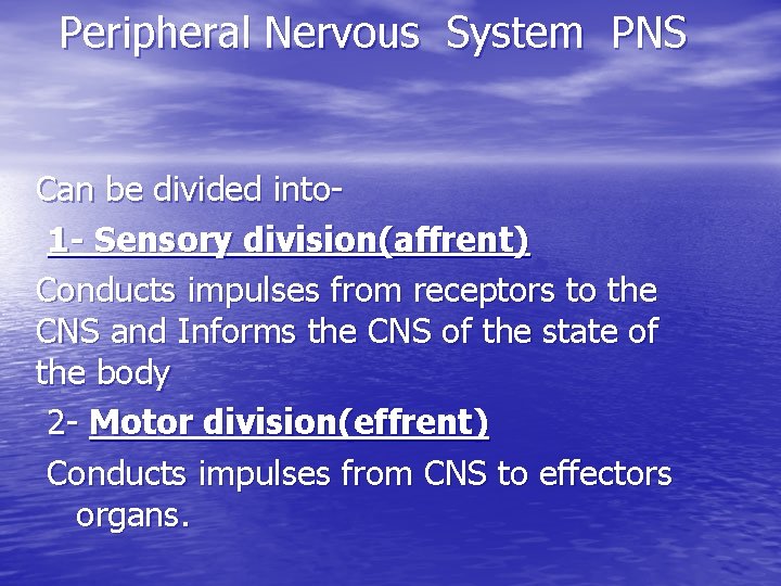  Peripheral Nervous System PNS Can be divided into 1 - Sensory division(affrent) Conducts