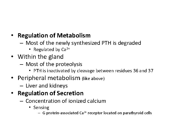  • Regulation of Metabolism – Most of the newly synthesized PTH is degraded