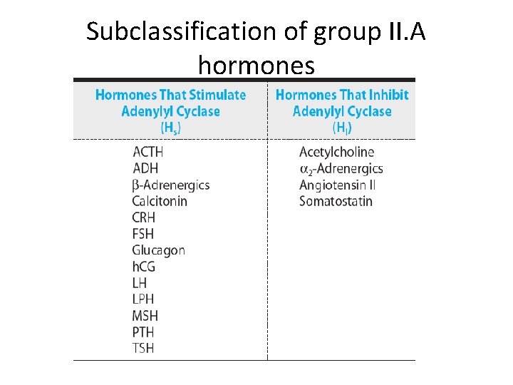 Subclassification of group II. A hormones 