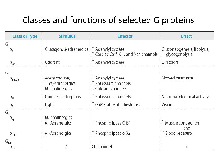 Classes and functions of selected G proteins 