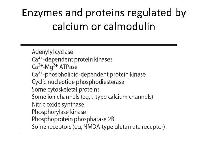 Enzymes and proteins regulated by calcium or calmodulin 