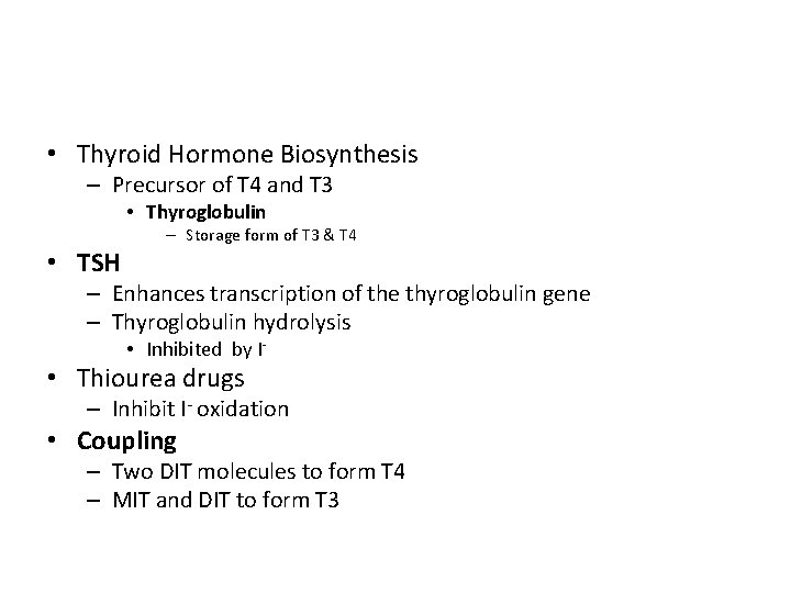  • Thyroid Hormone Biosynthesis – Precursor of T 4 and T 3 •