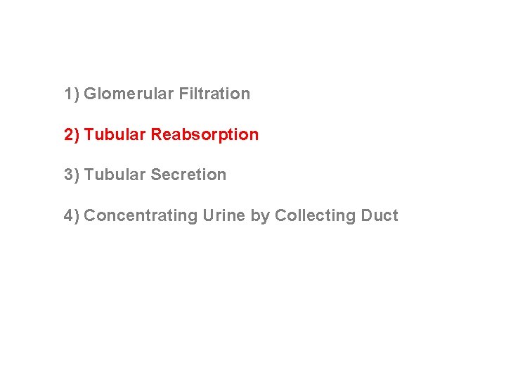 1) Glomerular Filtration 2) Tubular Reabsorption 3) Tubular Secretion 4) Concentrating Urine by Collecting 1) Glomerular Filtration 2) Tubular Reabsorption 3) Tubular Secretion 4) Concentrating Urine by Collecting