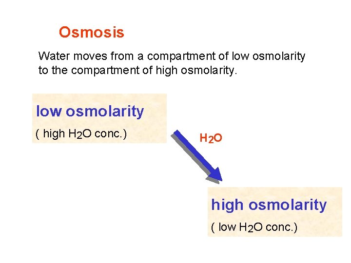 Osmosis Water moves from a compartment of low osmolarity to the compartment of high Osmosis Water moves from a compartment of low osmolarity to the compartment of high