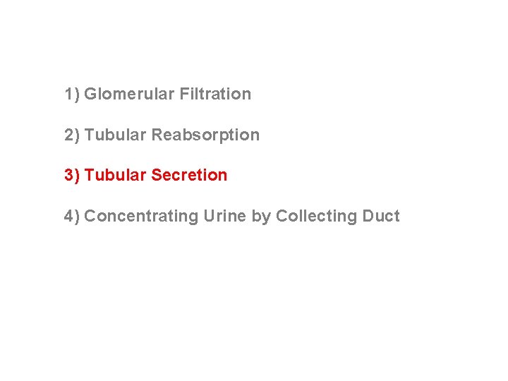 1) Glomerular Filtration 2) Tubular Reabsorption 3) Tubular Secretion 4) Concentrating Urine by Collecting 1) Glomerular Filtration 2) Tubular Reabsorption 3) Tubular Secretion 4) Concentrating Urine by Collecting