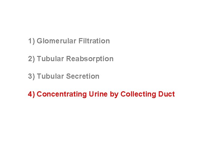 1) Glomerular Filtration 2) Tubular Reabsorption 3) Tubular Secretion 4) Concentrating Urine by Collecting 1) Glomerular Filtration 2) Tubular Reabsorption 3) Tubular Secretion 4) Concentrating Urine by Collecting