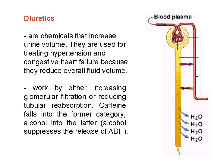 Diuretics - are chemicals that increase urine volume. They are used for treating hypertension Diuretics - are chemicals that increase urine volume. They are used for treating hypertension