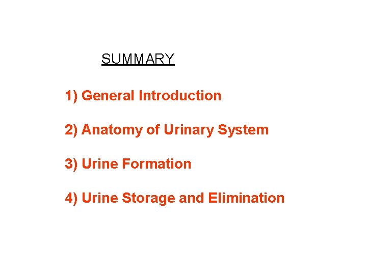 SUMMARY 1) General Introduction 2) Anatomy of Urinary System 3) Urine Formation 4) Urine SUMMARY 1) General Introduction 2) Anatomy of Urinary System 3) Urine Formation 4) Urine