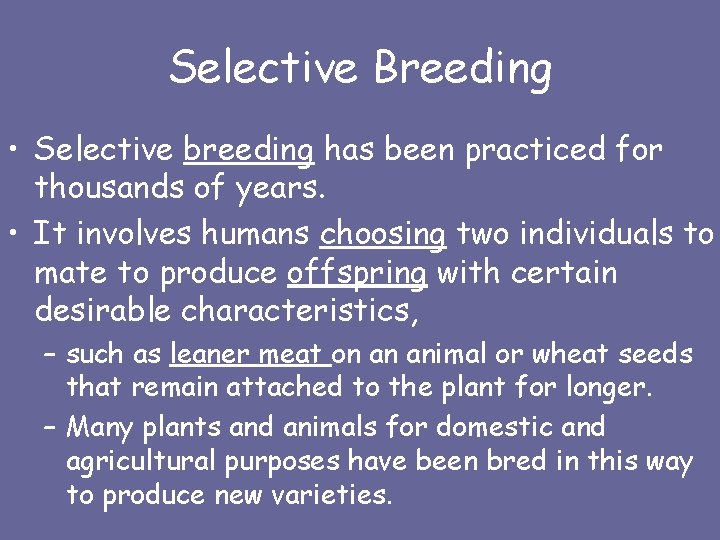 Selective Breeding • Selective breeding has been practiced for thousands of years. • It