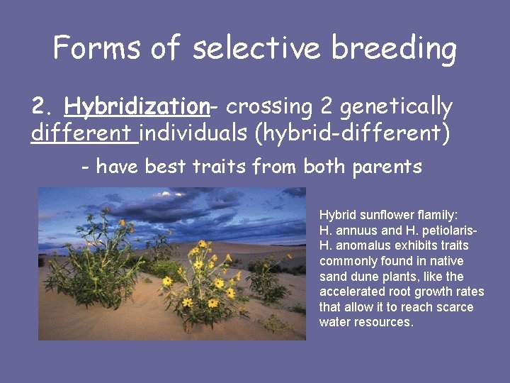 Forms of selective breeding 2. Hybridization- crossing 2 genetically different individuals (hybrid-different) - have