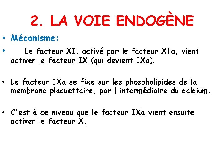 2. LA VOIE ENDOGÈNE • Mécanisme: • Le facteur XI, activé par le facteur