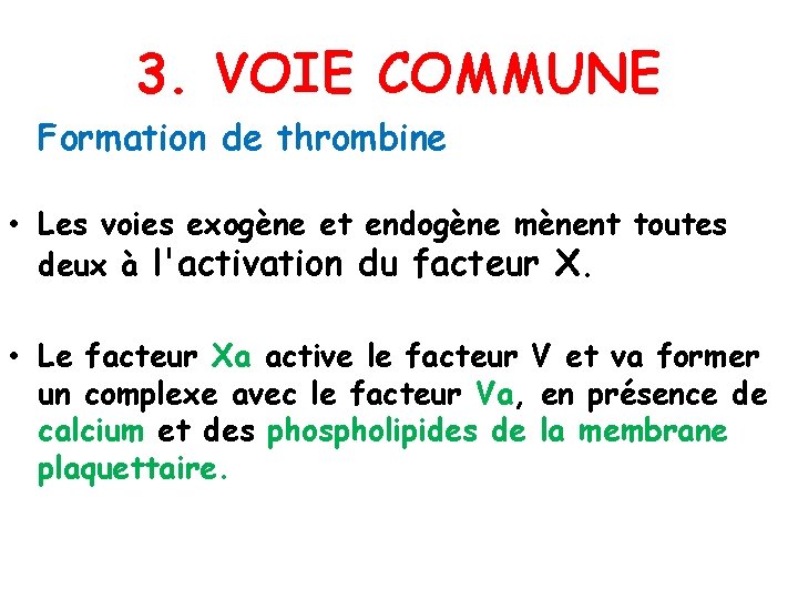 3. VOIE COMMUNE Formation de thrombine • Les voies exogène et endogène mènent toutes