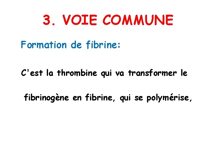 3. VOIE COMMUNE Formation de fibrine: C'est la thrombine qui va transformer le fibrinogène