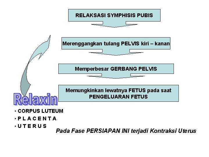 RELAKSASI SYMPHISIS PUBIS Merenggangkan tulang PELVIS kiri – kanan Memperbesar GERBANG PELVIS Memungkinkan lewatnya