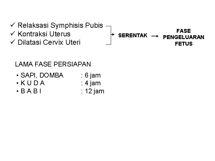 ü Relaksasi Symphisis Pubis ü Kontraksi Uterus ü Dilatasi Cervix Uteri LAMA FASE PERSIAPAN