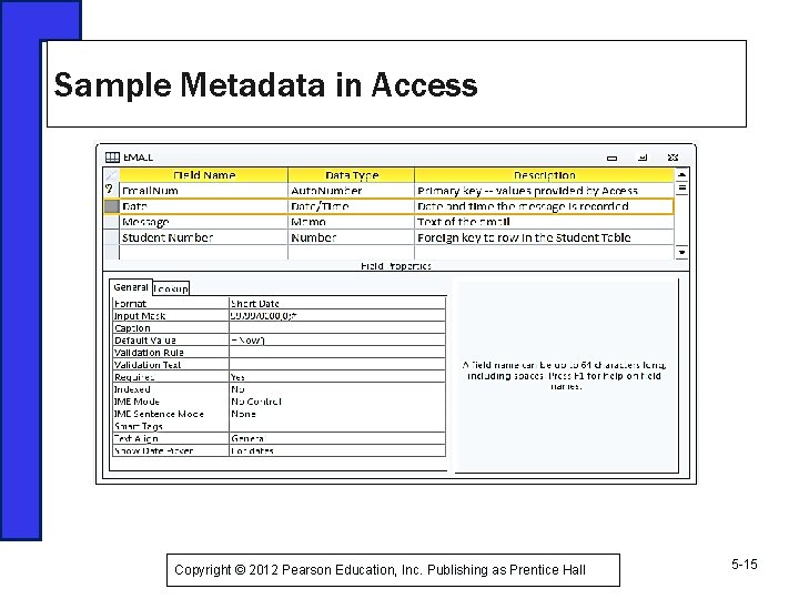 Sample Metadata in Access Copyright © 2012 Pearson Education, Inc. Publishing as Prentice Hall