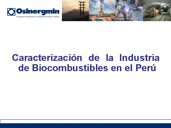 Caracterización de la Industria de Biocombustibles en el Perú 