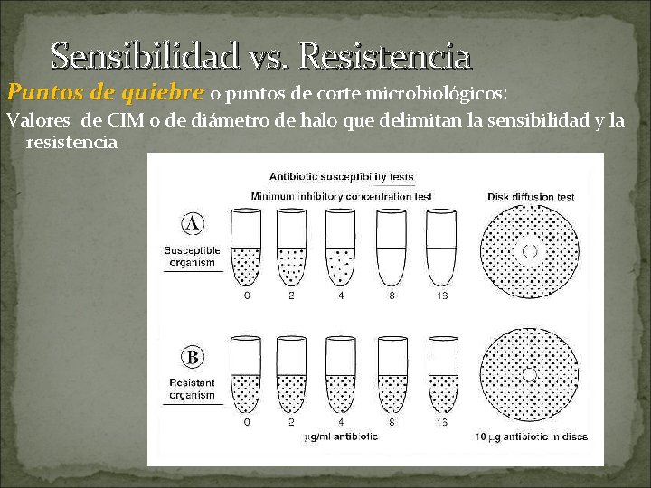 Sensibilidad vs. Resistencia Puntos de quiebre o puntos de corte microbiológicos: Valores de CIM