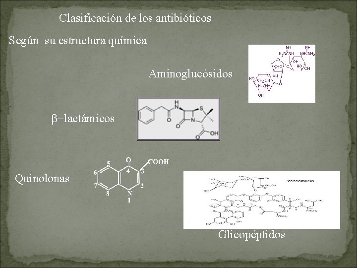 Clasificación de los antibióticos Según su estructura química Aminoglucósidos b-lactámicos Quinolonas Glicopéptidos 