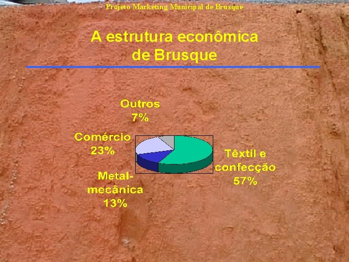 Projeto Marketing Municipal de Brusque A estrutura econômica de Brusque Projeto Marketing Municipal de Brusque A estrutura econômica de Brusque