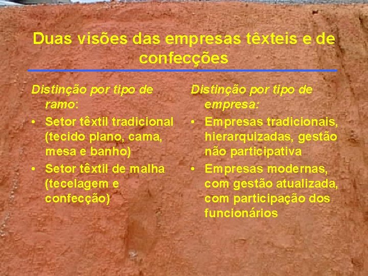 Duas visões das empresas têxteis e de confecções Distinção por tipo de ramo: • Duas visões das empresas têxteis e de confecções Distinção por tipo de ramo: •
