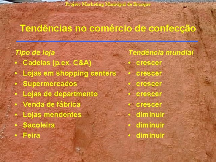 Projeto Marketing Municipal de Brusque Tendências no comércio de confecção Tipo de loja • Projeto Marketing Municipal de Brusque Tendências no comércio de confecção Tipo de loja •