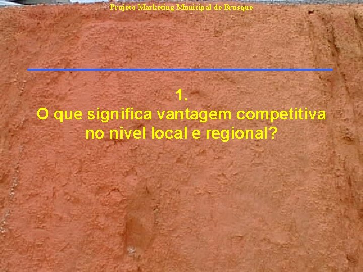 Projeto Marketing Municipal de Brusque 1. O que significa vantagem competitiva no nivel local Projeto Marketing Municipal de Brusque 1. O que significa vantagem competitiva no nivel local