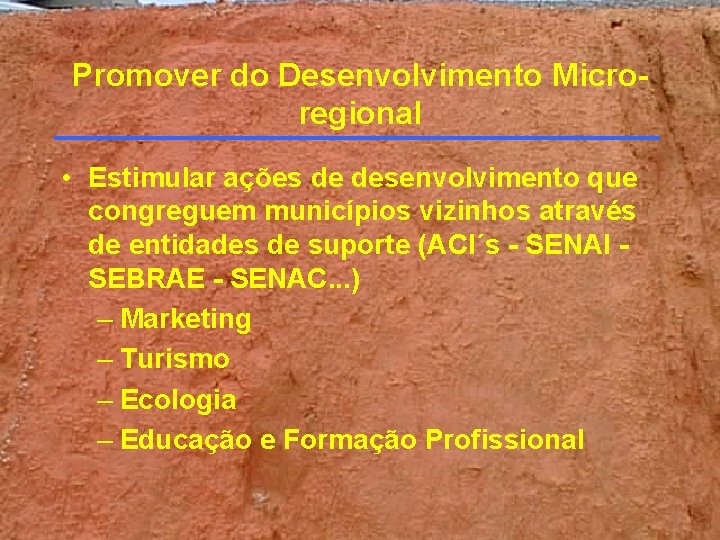 Promover do Desenvolvimento Microregional • Estimular ações de desenvolvimento que congreguem municípios vizinhos através Promover do Desenvolvimento Microregional • Estimular ações de desenvolvimento que congreguem municípios vizinhos através