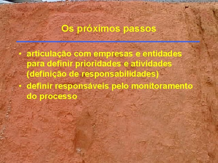 Os próximos passos • articulação com empresas e entidades para definir prioridades e atividades Os próximos passos • articulação com empresas e entidades para definir prioridades e atividades