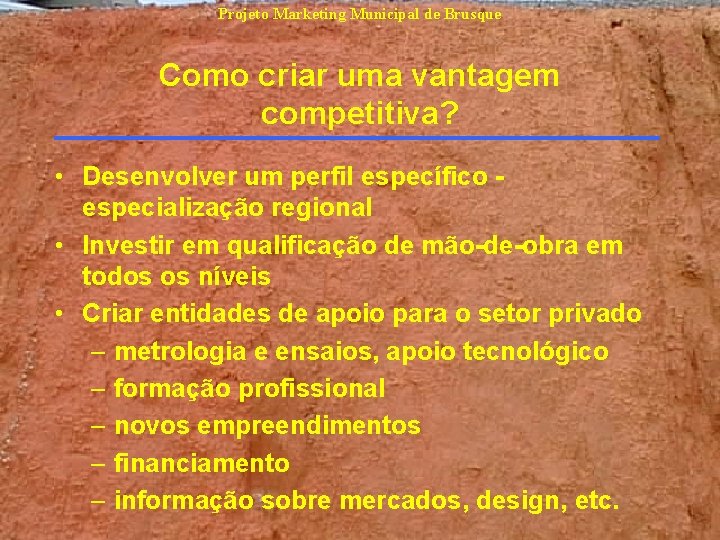 Projeto Marketing Municipal de Brusque Como criar uma vantagem competitiva? • Desenvolver um perfil Projeto Marketing Municipal de Brusque Como criar uma vantagem competitiva? • Desenvolver um perfil