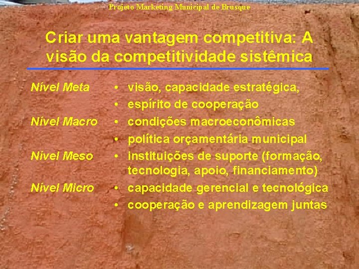 Projeto Marketing Municipal de Brusque Criar uma vantagem competitiva: A visão da competitividade sistêmica Projeto Marketing Municipal de Brusque Criar uma vantagem competitiva: A visão da competitividade sistêmica