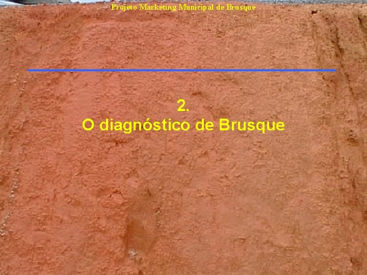 Projeto Marketing Municipal de Brusque 2. O diagnóstico de Brusque Projeto Marketing Municipal de Brusque 2. O diagnóstico de Brusque