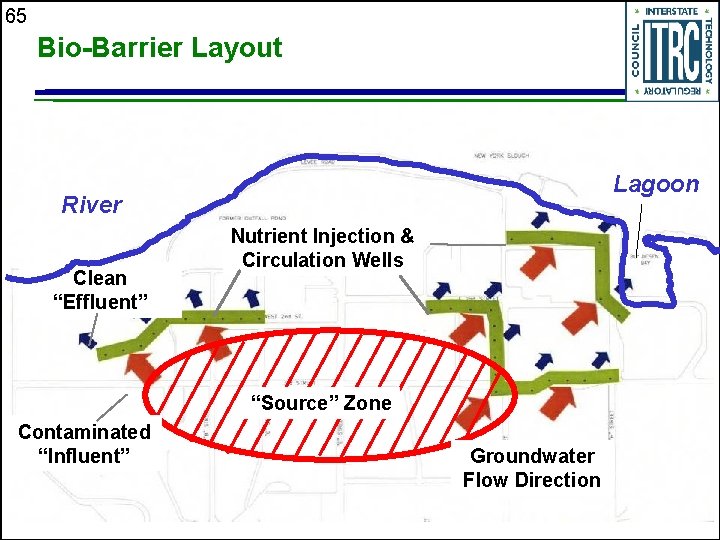 65 Bio-Barrier Layout Lagoon River Clean “Effluent” Nutrient Injection & Circulation Wells “Source” Zone