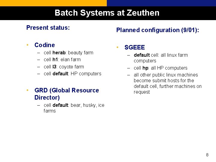 Batch Systems at Zeuthen Present status: Planned configuration (9/01): • Codine • SGEEE –