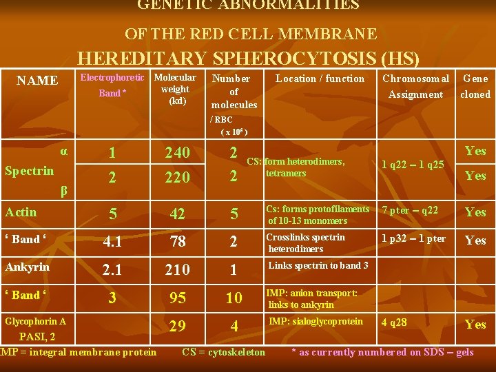 GENETIC ABNORMALITIES OF THE RED CELL MEMBRANE HEREDITARY SPHEROCYTOSIS (HS) Electrophoretic Molecular weight Band*