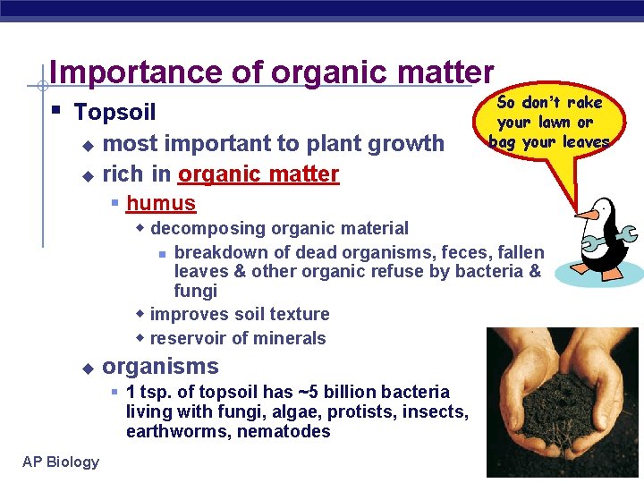 Importance of organic matter § Topsoil most important to plant growth u rich in