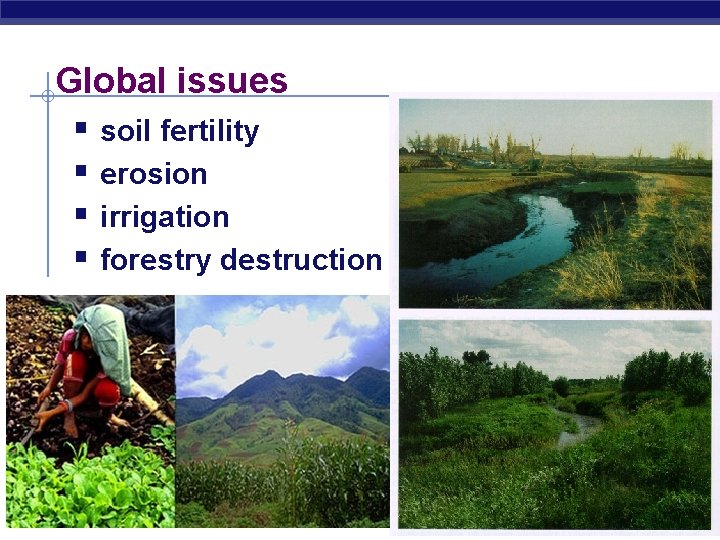 Global issues § soil fertility § erosion § irrigation § forestry destruction AP Biology