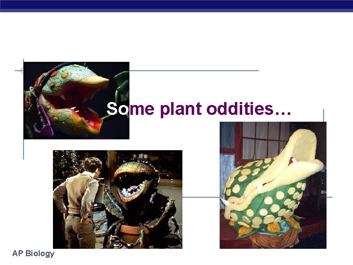 Some plant oddities… AP Biology 