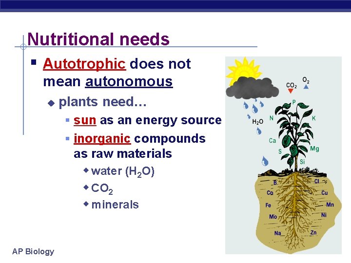 Nutritional needs § Autotrophic does not mean autonomous u plants need… § sun as