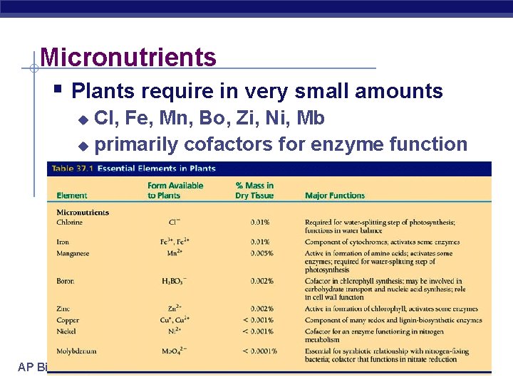 Micronutrients § Plants require in very small amounts Cl, Fe, Mn, Bo, Zi, Ni,