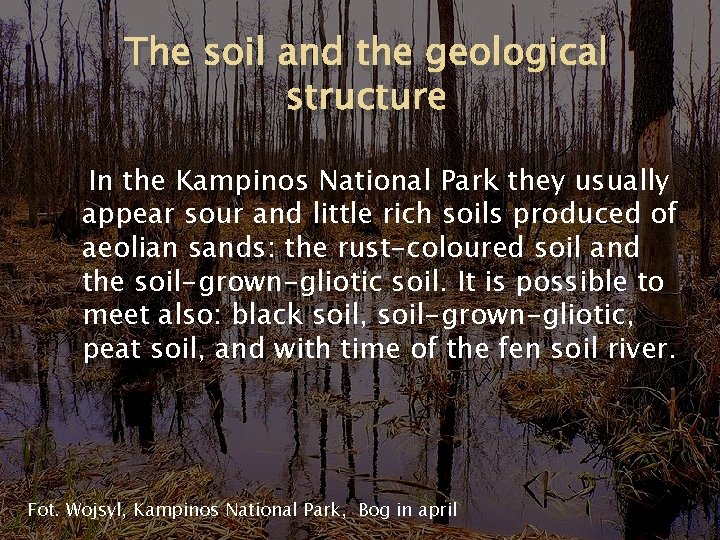 The soil and the geological structure In the Kampinos National Park they usually appear