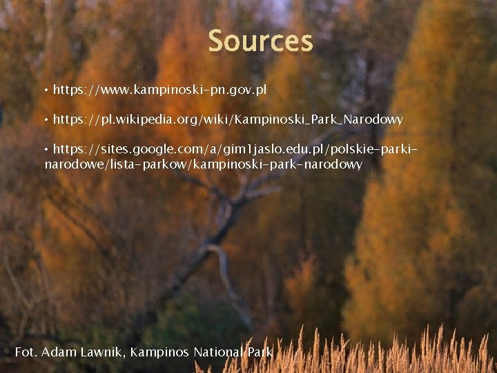 Sources • https: //www. kampinoski-pn. gov. pl • https: //pl. wikipedia. org/wiki/Kampinoski_Park_Narodowy • https: